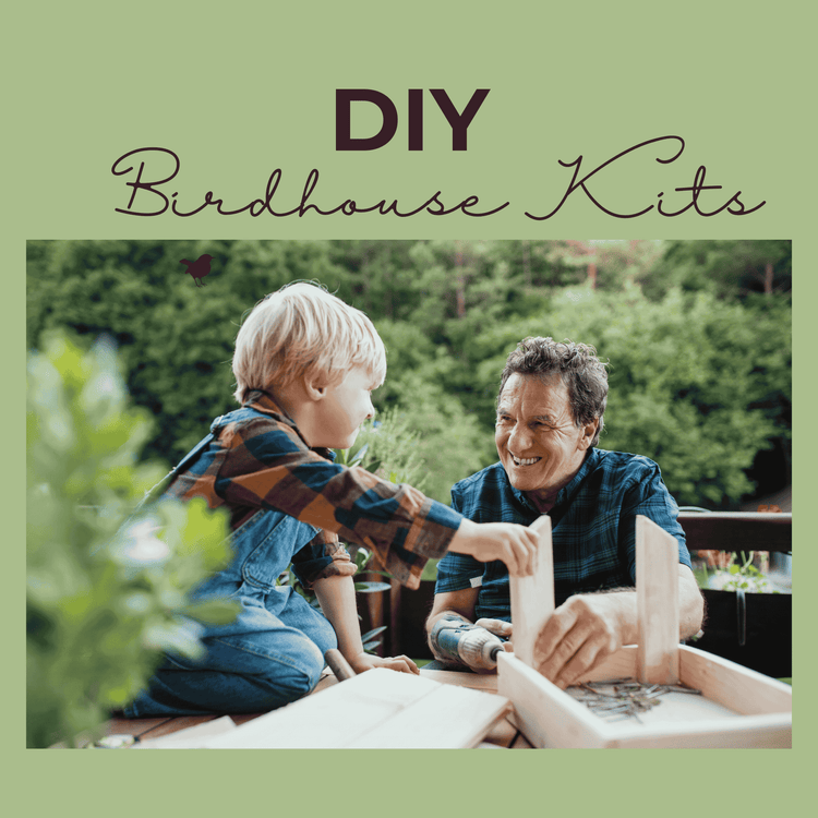 DIY Birdhouse kits collection