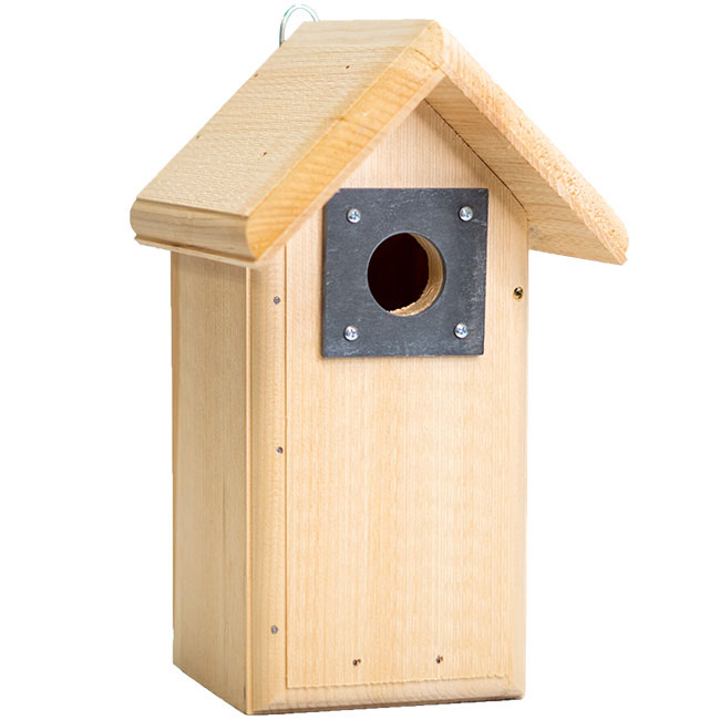 Birdhouse - the Chirp Chalet