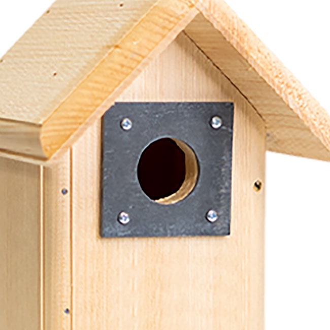 Birdhouse - the Chirp Chalet