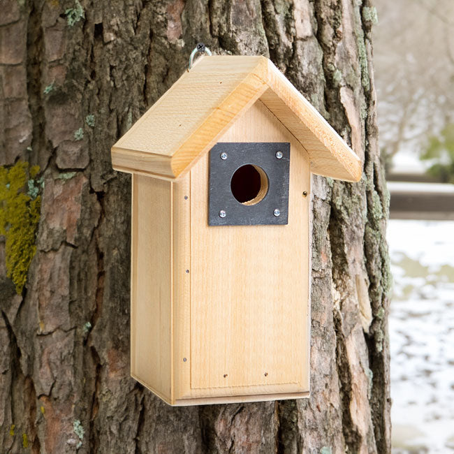 Birdhouse - the Chirp Chalet