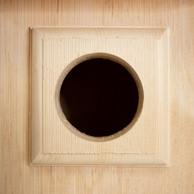 Owl House, The Watchful Hollow hole guard