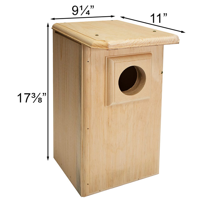Owl House, The Watchful Hollow measurements