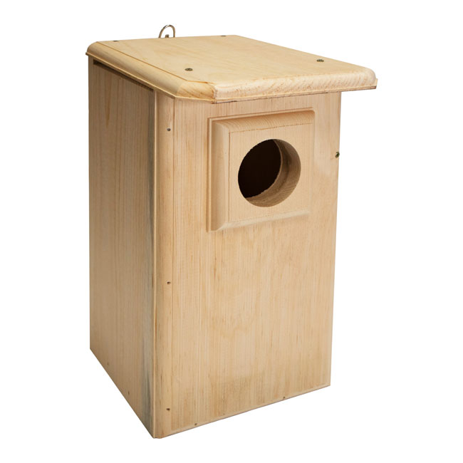 Owl House, The Watchful Hollow