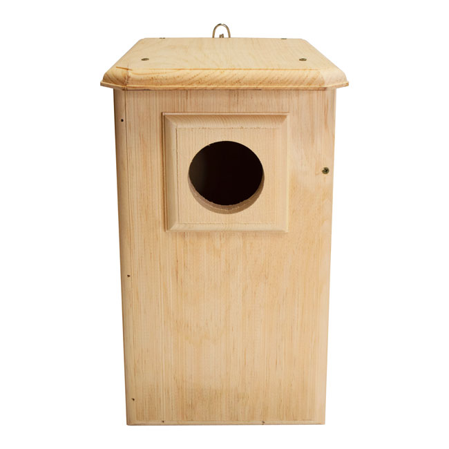 Owl House, The Watchful Hollow