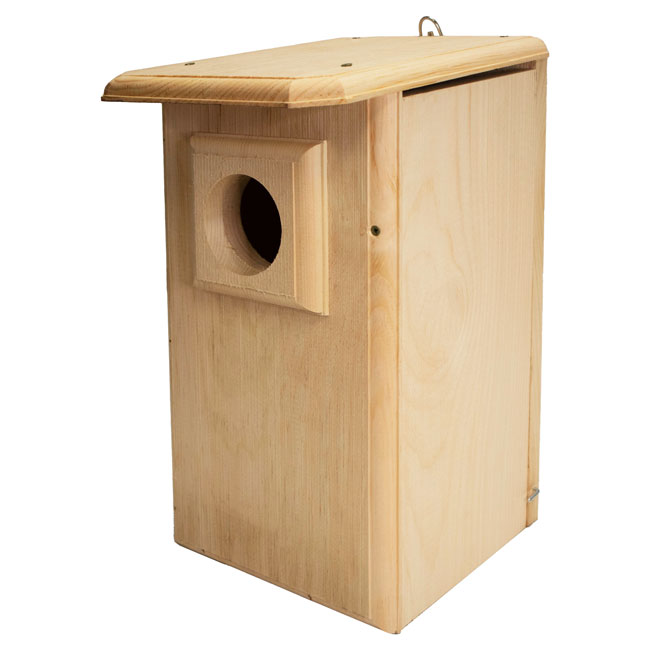 Owl House, The Watchful Hollow