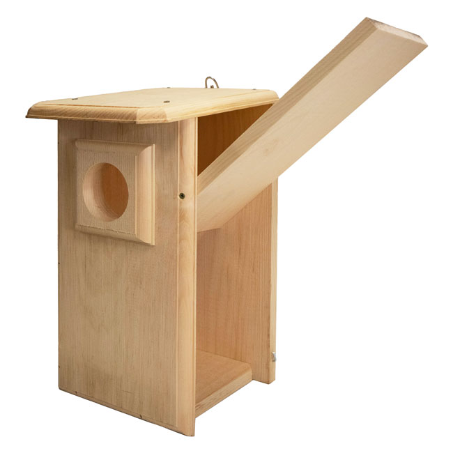 Owl House, The Watchful Hollow with side opened
