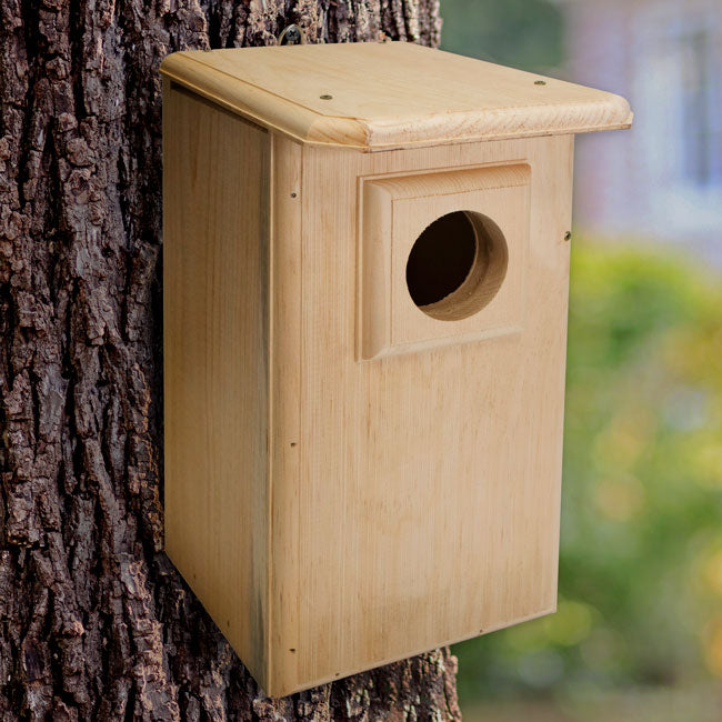 Owl House, The Watchful Hollow
