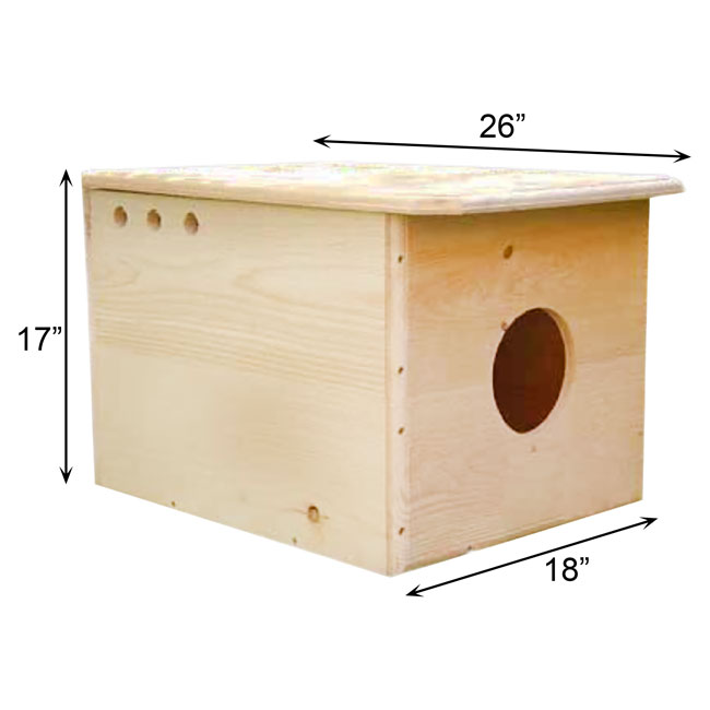 Owl House: The Owl Chateau, A Barn Owl’s Dream Home measurements