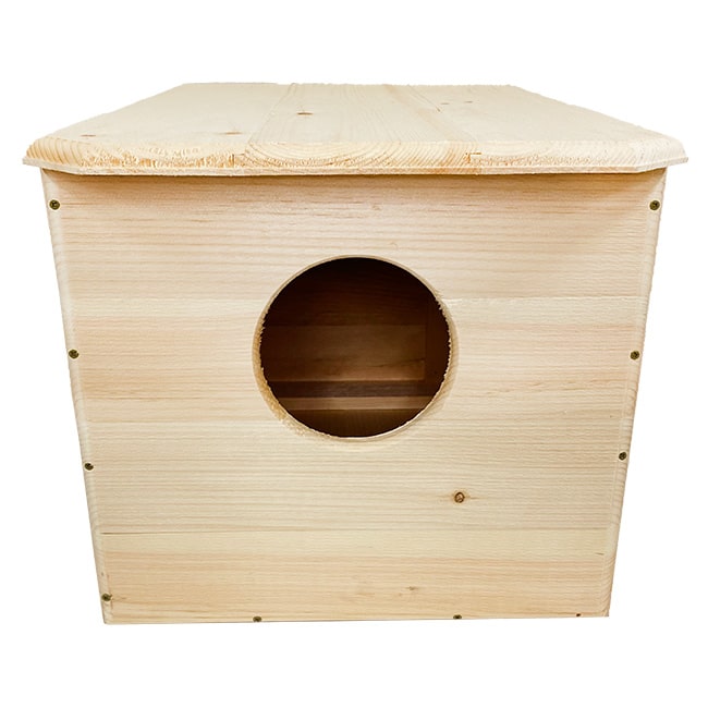 Owl House: The Owl Chateau, A Barn Owl’s Dream Home front view