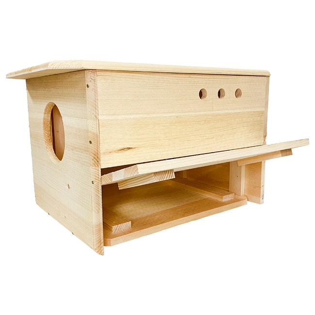 Owl House: The Owl Chateau, A Barn Owl’s Dream Home door view