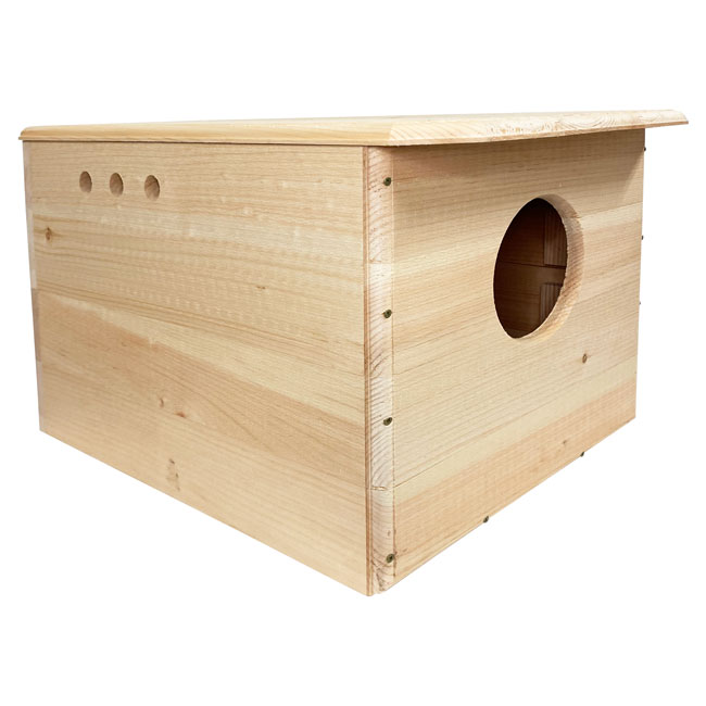 Owl House: The Owl Chateau, A Barn Owl’s Dream Home
