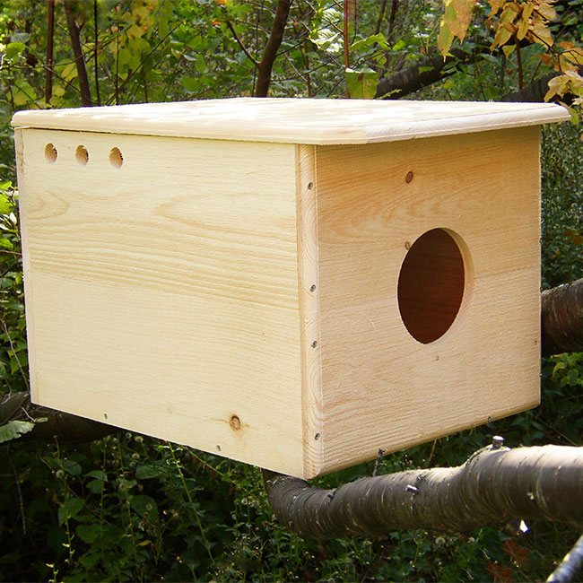 Owl House: The Owl Chateau, A Barn Owl’s Dream Home, outdoor photo