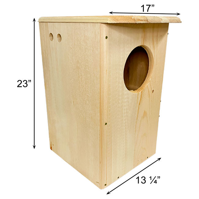 Owl House, The Nightwatch Nest measurements