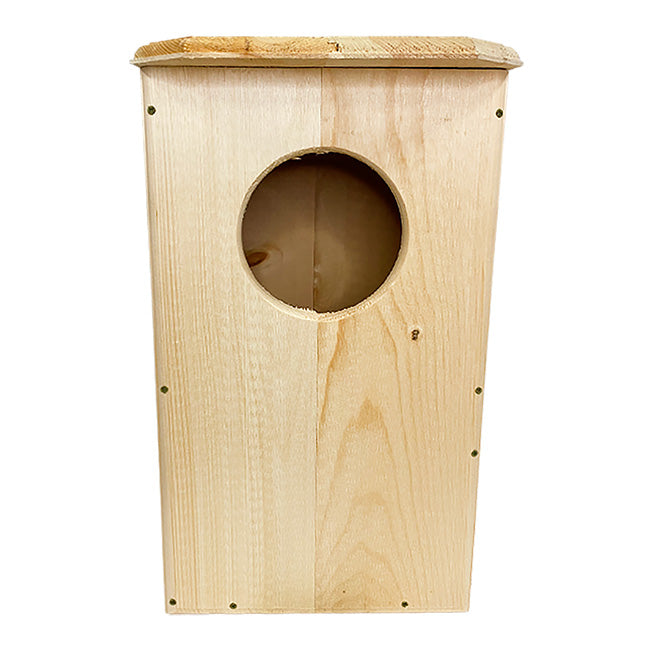 Owl House, The Nightwatch Nest entry hole view