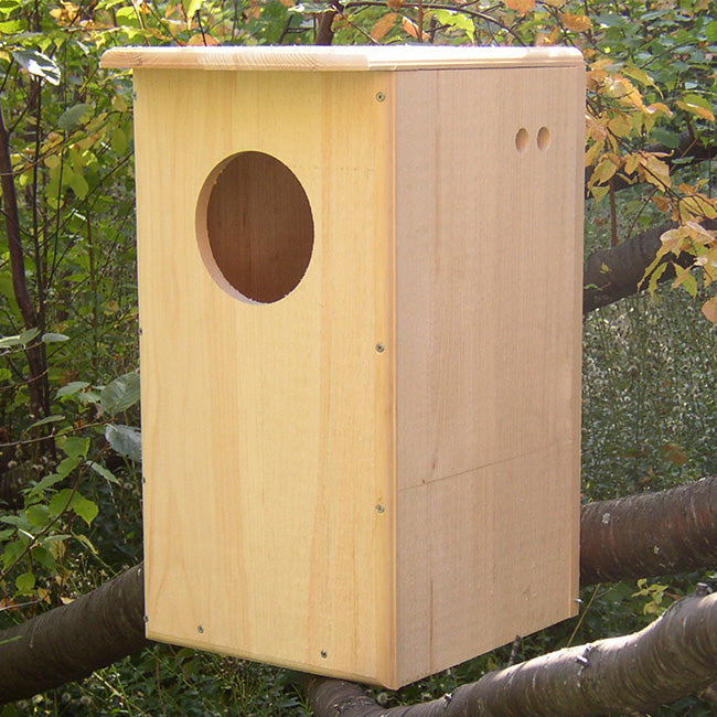 Owl House, The Nightwatch Nest outside view