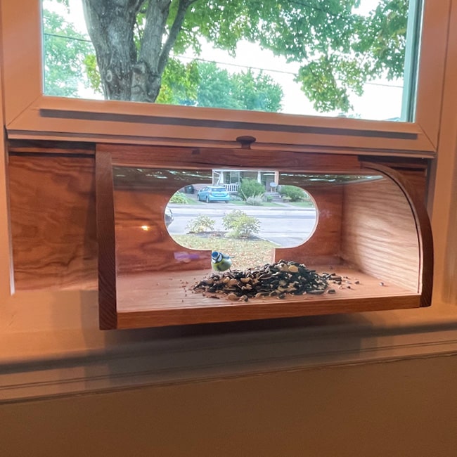 In window bird feeder COV-27000