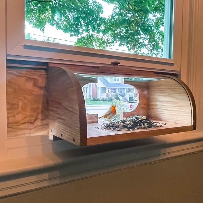 Bird Feeder, The Breadbox Banquet