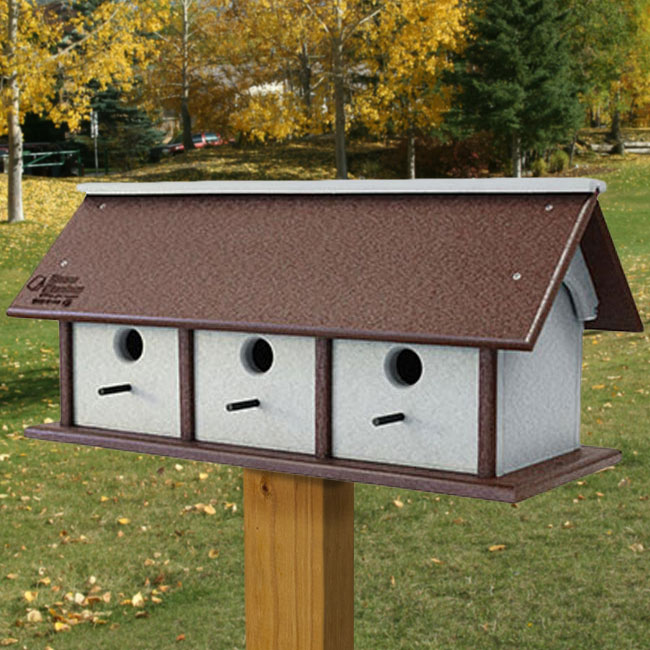Amish Made Wren Chateau