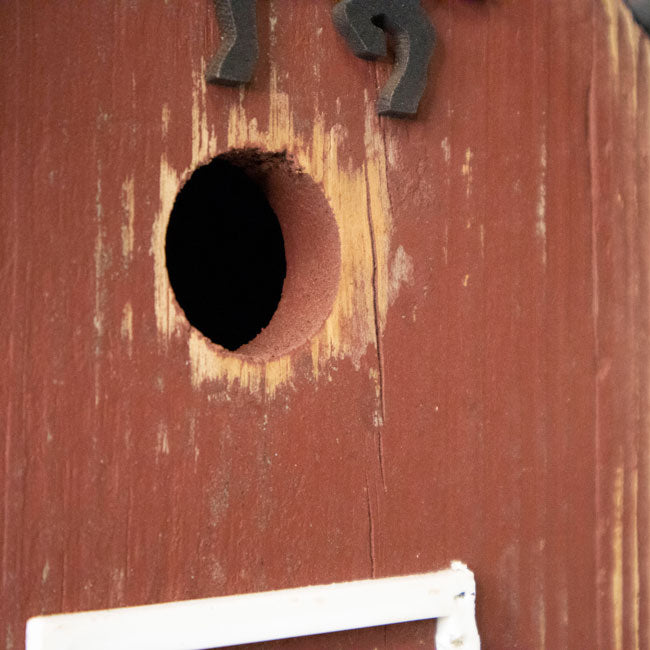 Birdhouse, The Summitville Stable in White or Red