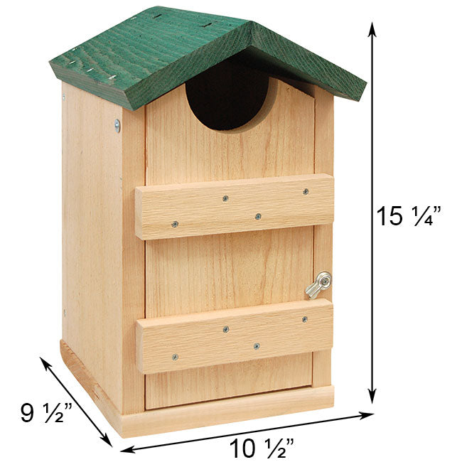 Owl House, The Starlit Haven measurements