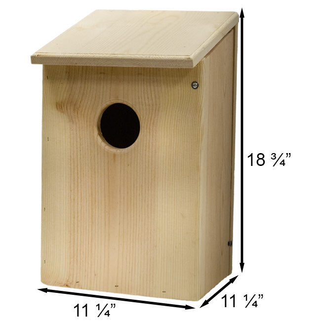 Owl House, The Hoot Hideaway measurements