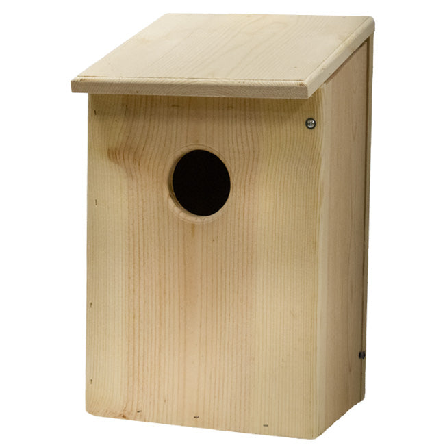 Owl House, The Hoot Hideaway