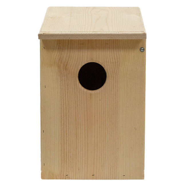Owl House, The Hoot Hideaway