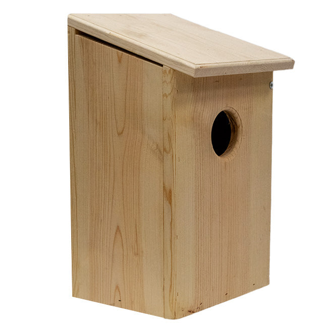 Owl House, The Hoot Hideaway