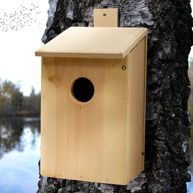 Owl House, The Hoot Hideaway outside mounted on a tree