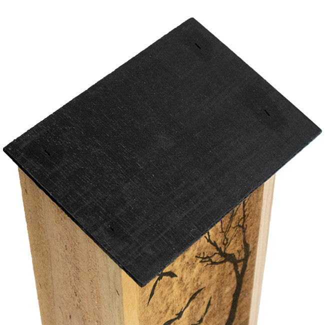 Bat House, The Cozy Echo Loft top view