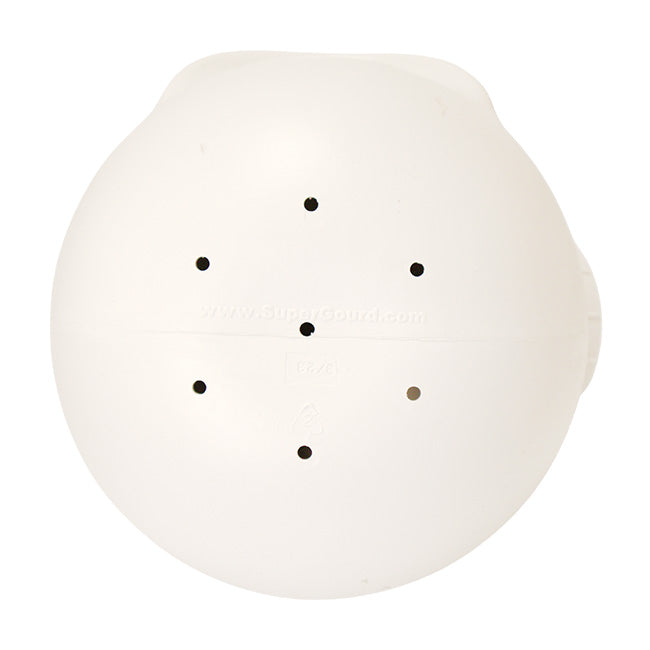 Purple Martin Gourd, The Sky Pod Single Crescent