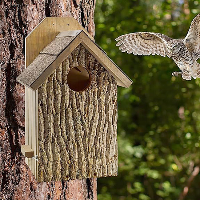 Owl House - The Barkside Inn on a tree with an owl arriving