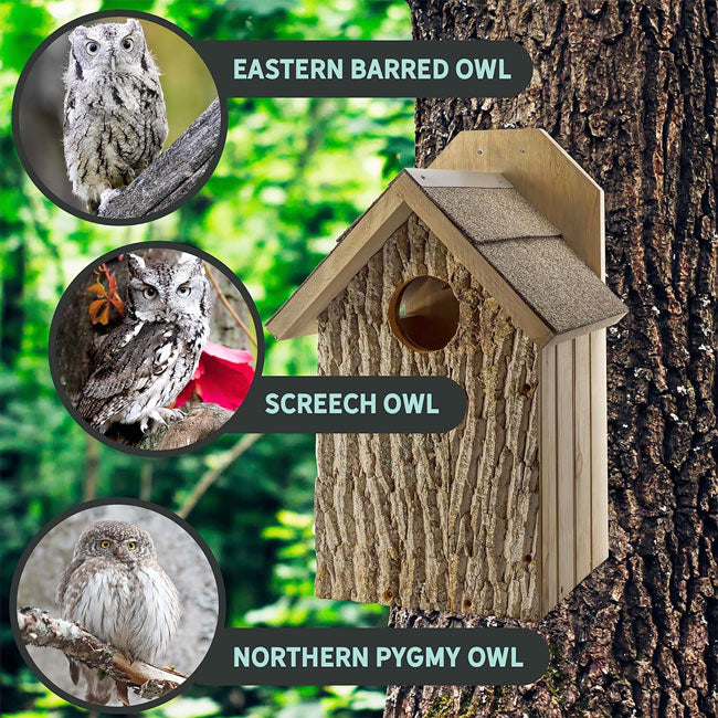 Owl House - The Barkside Inn which howls use this owl roost