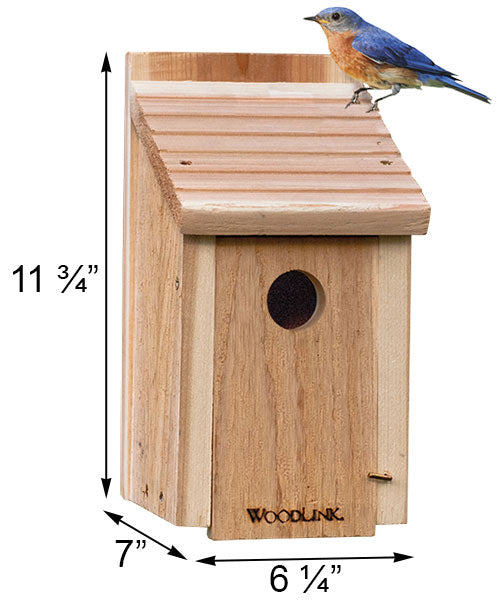 DIY Bluebird Birdhouse Kit