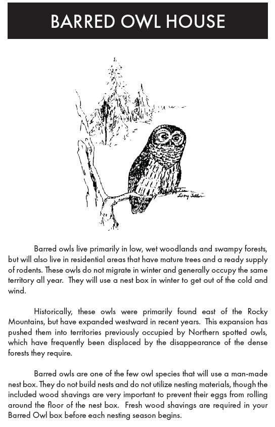 Owl House, The Nightwatch Nest