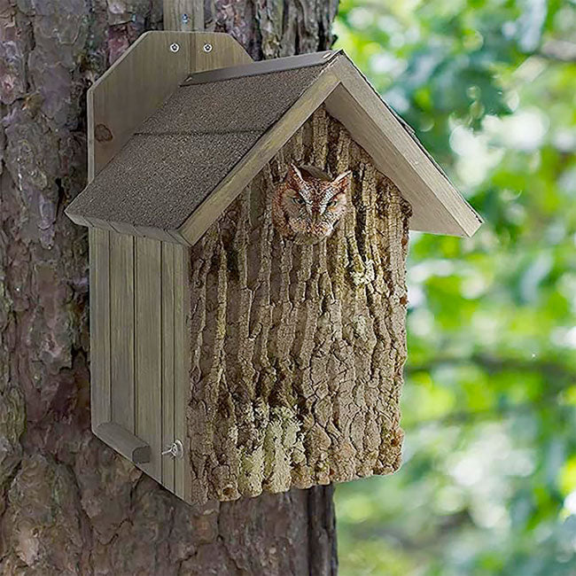 Owl House - The Barkside Inn outdoor on a tree view