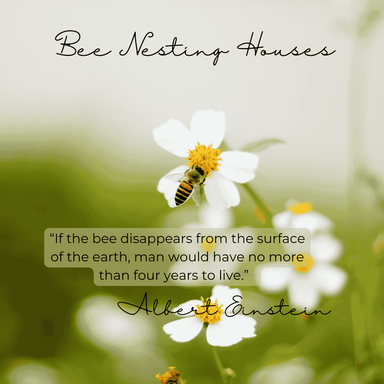 Bee Nesting House Collection