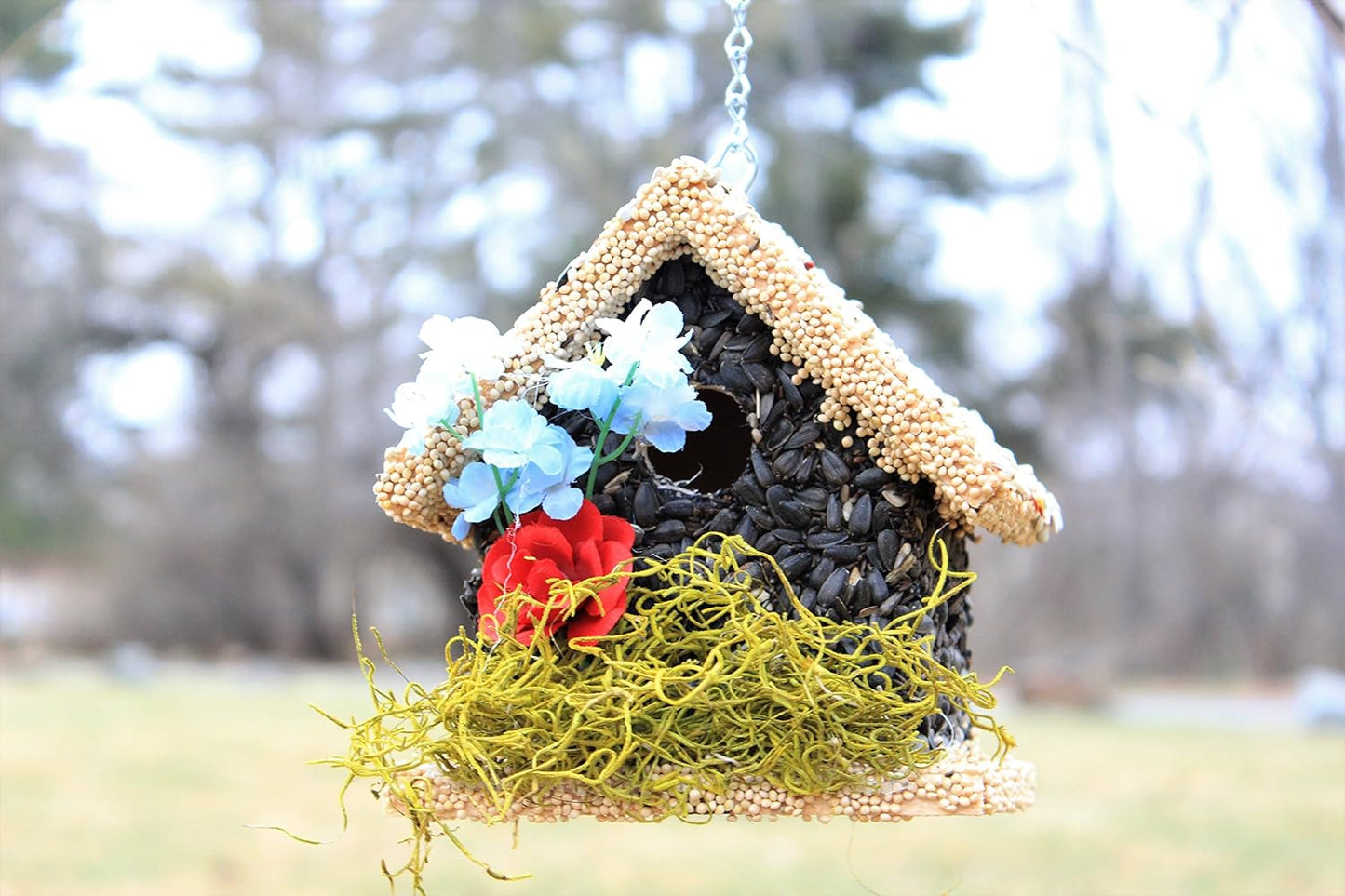 Edible Birdhouse and Bird Feeder in ONE