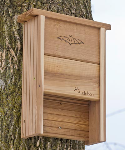 Audubon Bat House made of Cedar for 20 bats, www.wingandhive.com