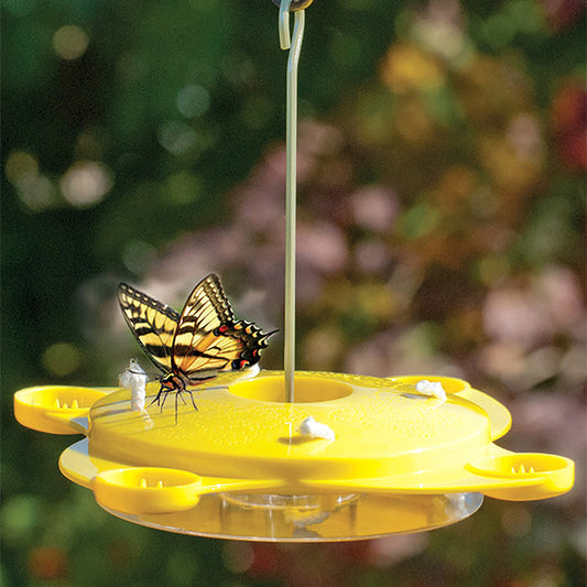 Butterfly Feeder