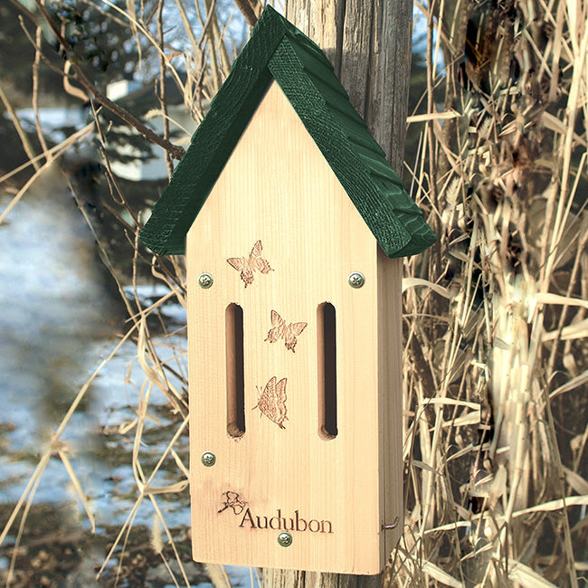 Butterfly Shelter, The Cedar One