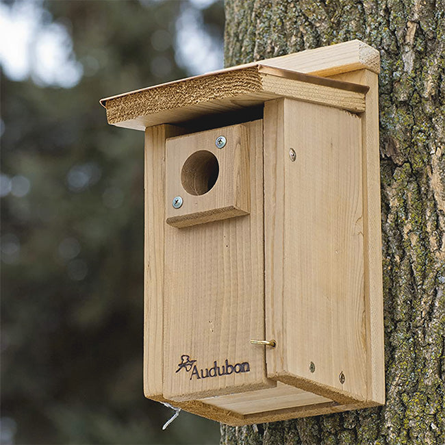 Bluebird Birdhouse, Coppertop