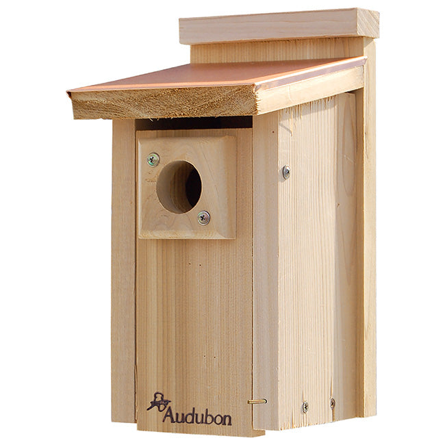 Bluebird Birdhouse, Coppertop