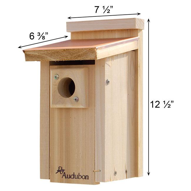 Bluebird Birdhouse, Coppertop