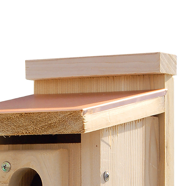 Bluebird Birdhouse, Coppertop