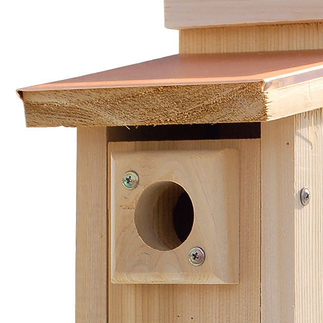 Bluebird Birdhouse, Coppertop