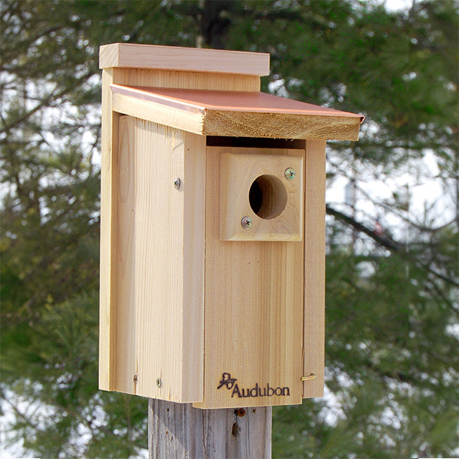 Bluebird Birdhouse, Coppertop