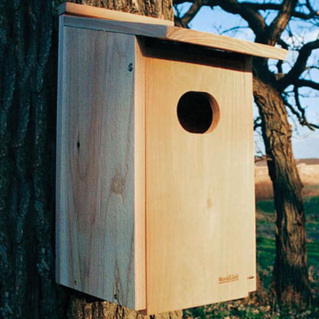 Birdhouse For Ducks by Audubon