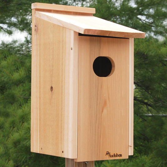 Birdhouse For Ducks by Audubon