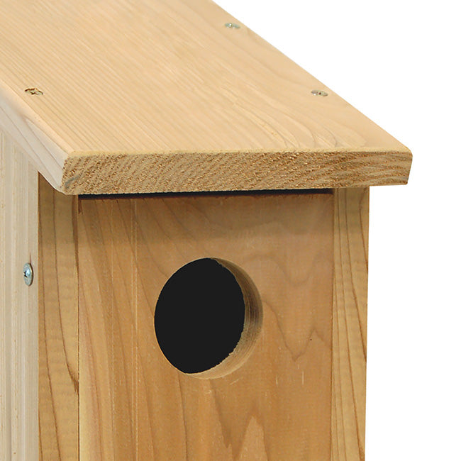 Birdhouse for Woodpeckers | Pollinator Shelter in Cedar | Wing and Hive